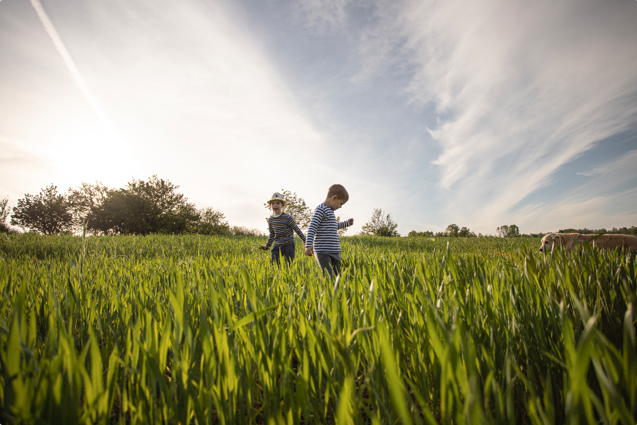 Children Playing in Field