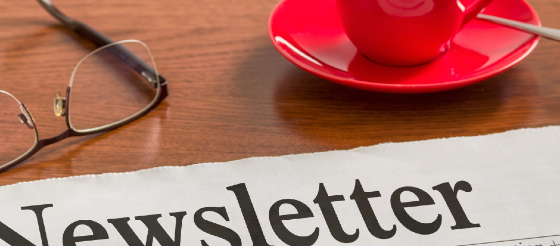 Newsletter Image Newsletter Image