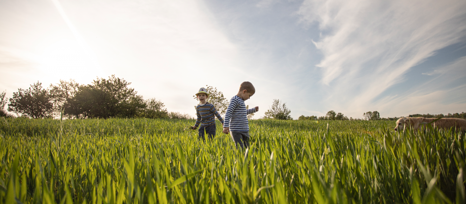 Children Playing in Field