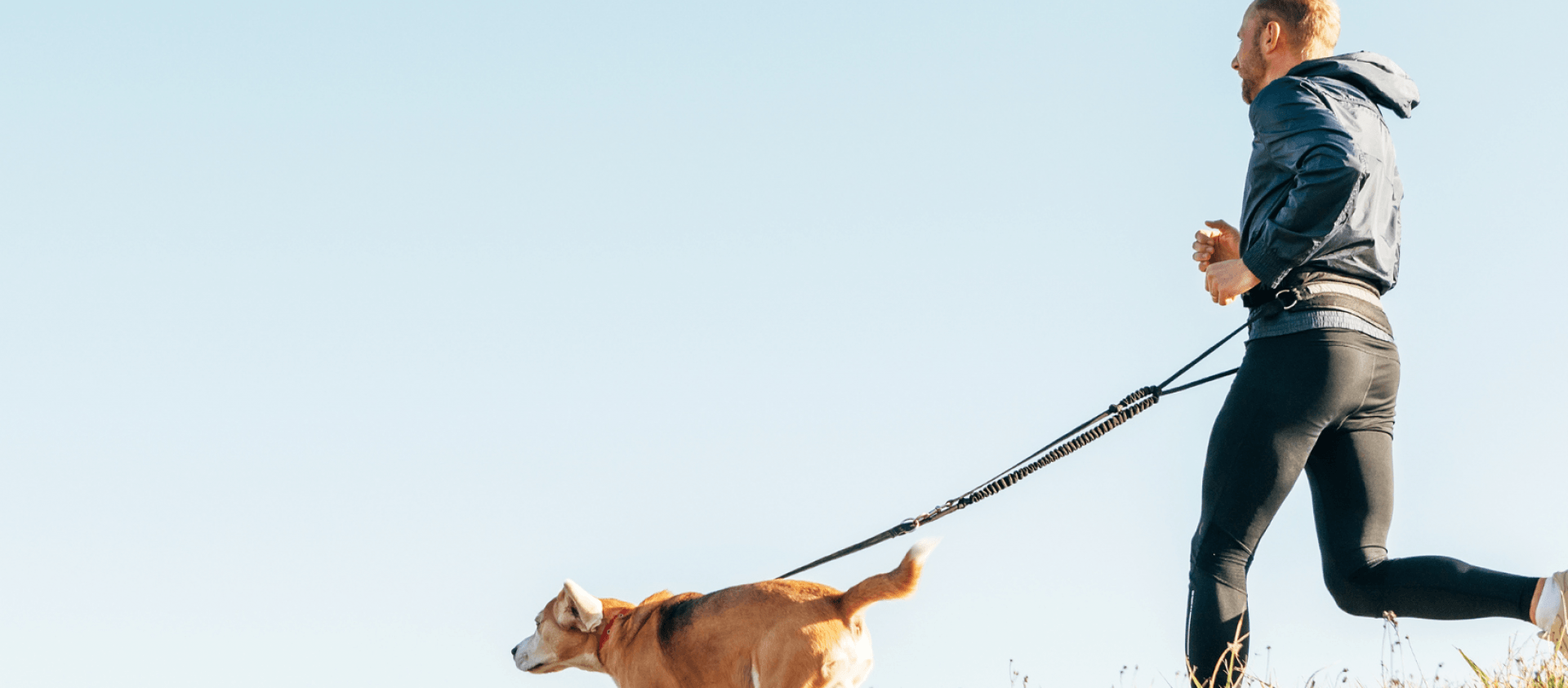 Man running with dog on leash image Man running with dog on leash image