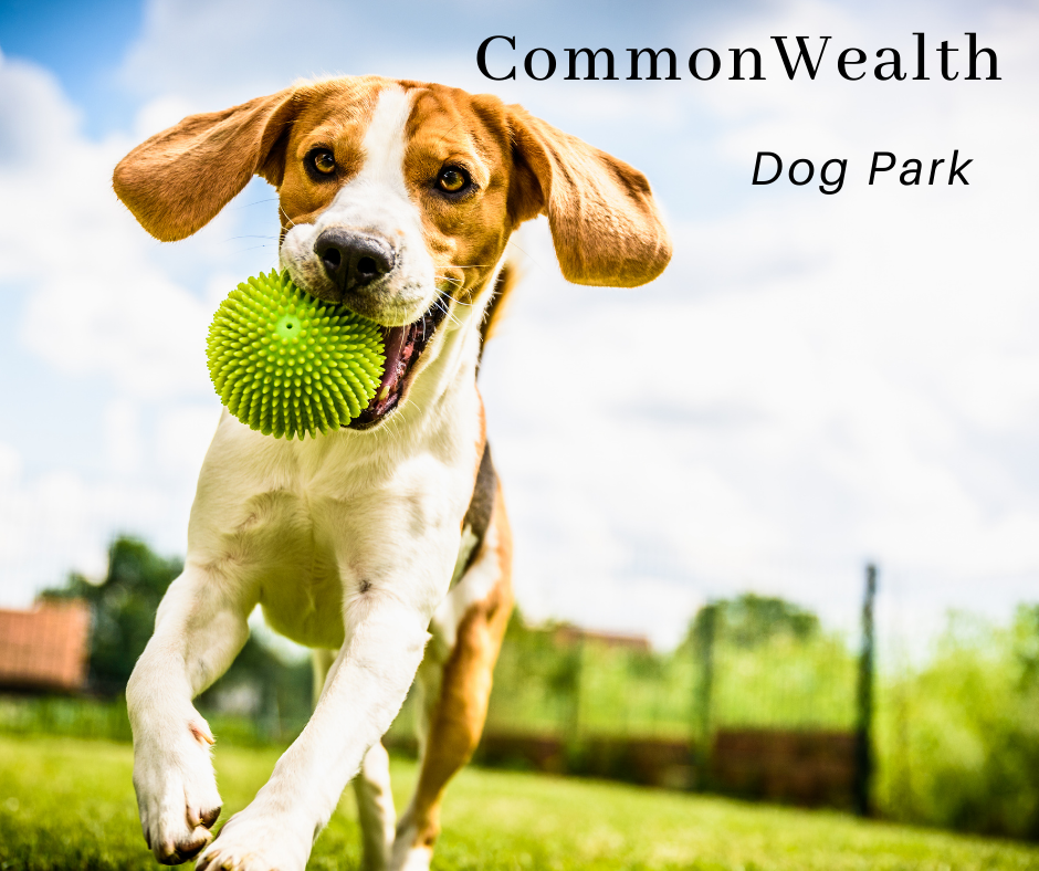 CommonWealth Dog Park Image