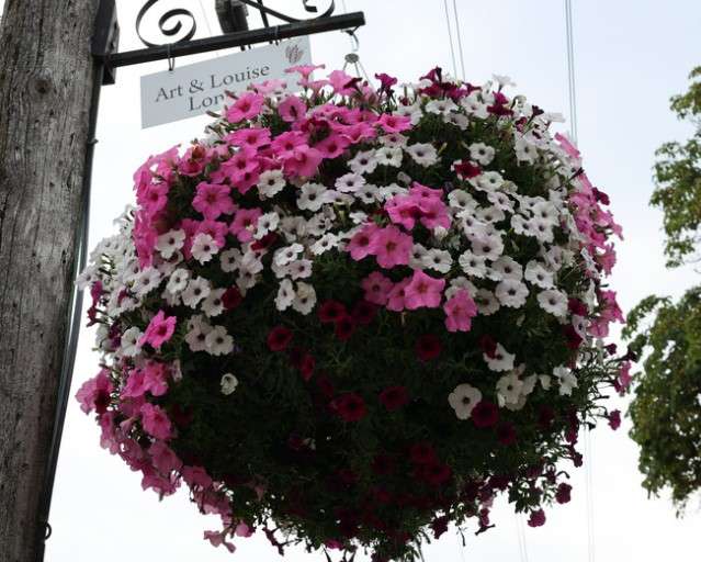 Flower Basket